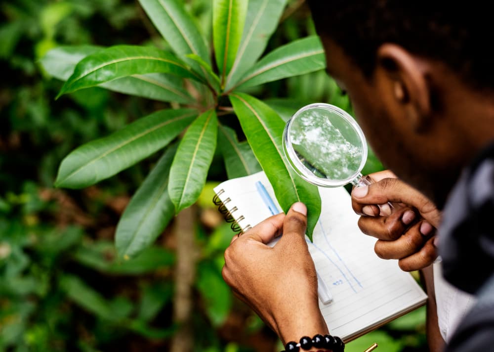 Organic Certification Process Explained