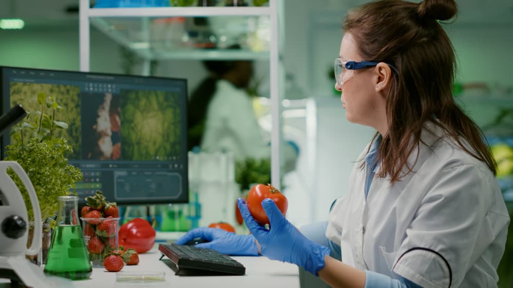 Identifying and Managing Soybean Diseases