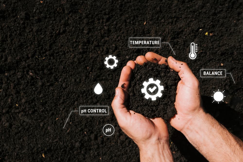 Soil Testing: Why, When, and How