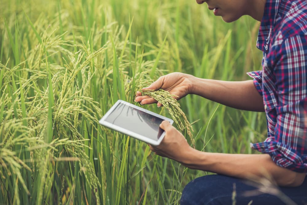 Success Story: Transitioning to Regenerative Agriculture